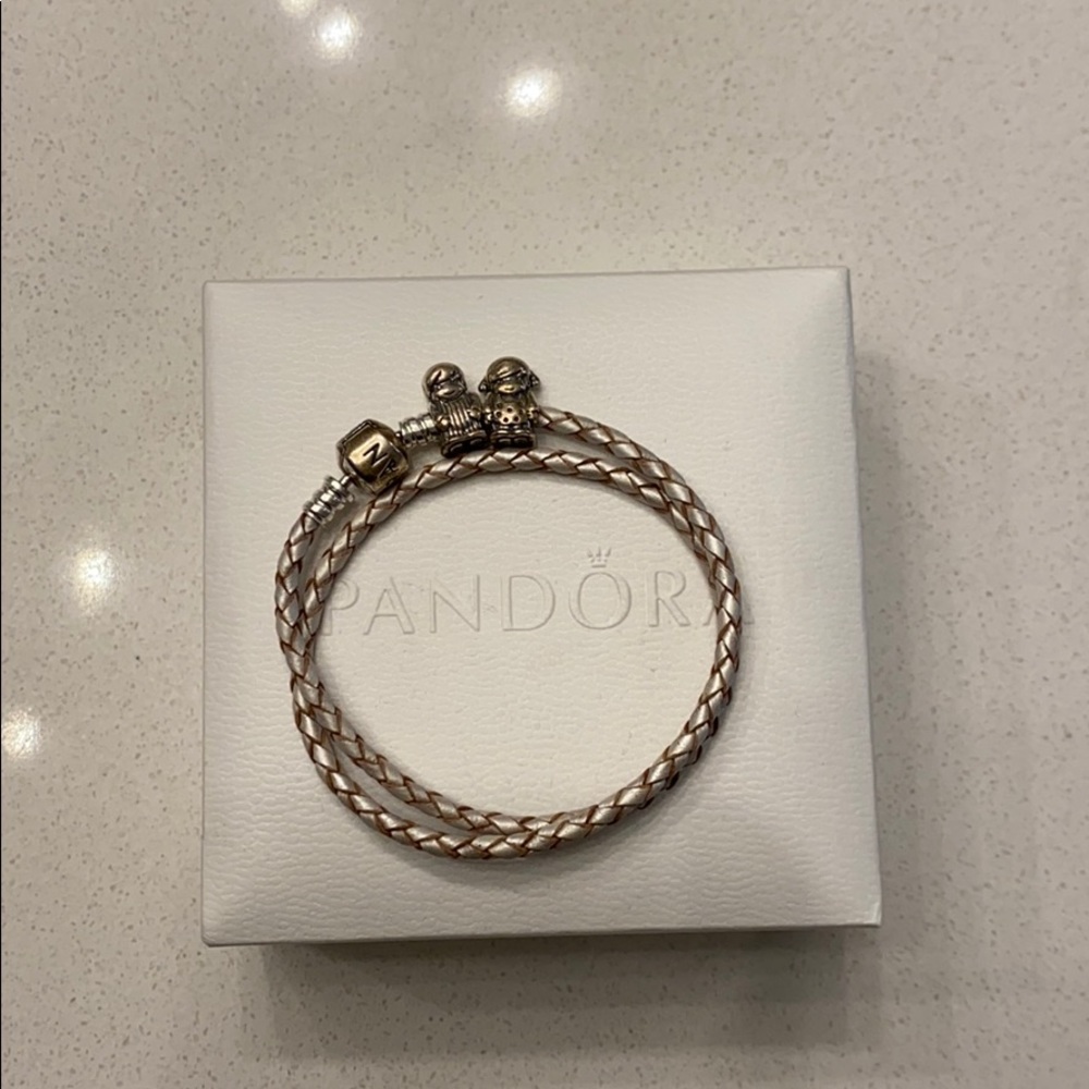Pandora Charm Bracelet